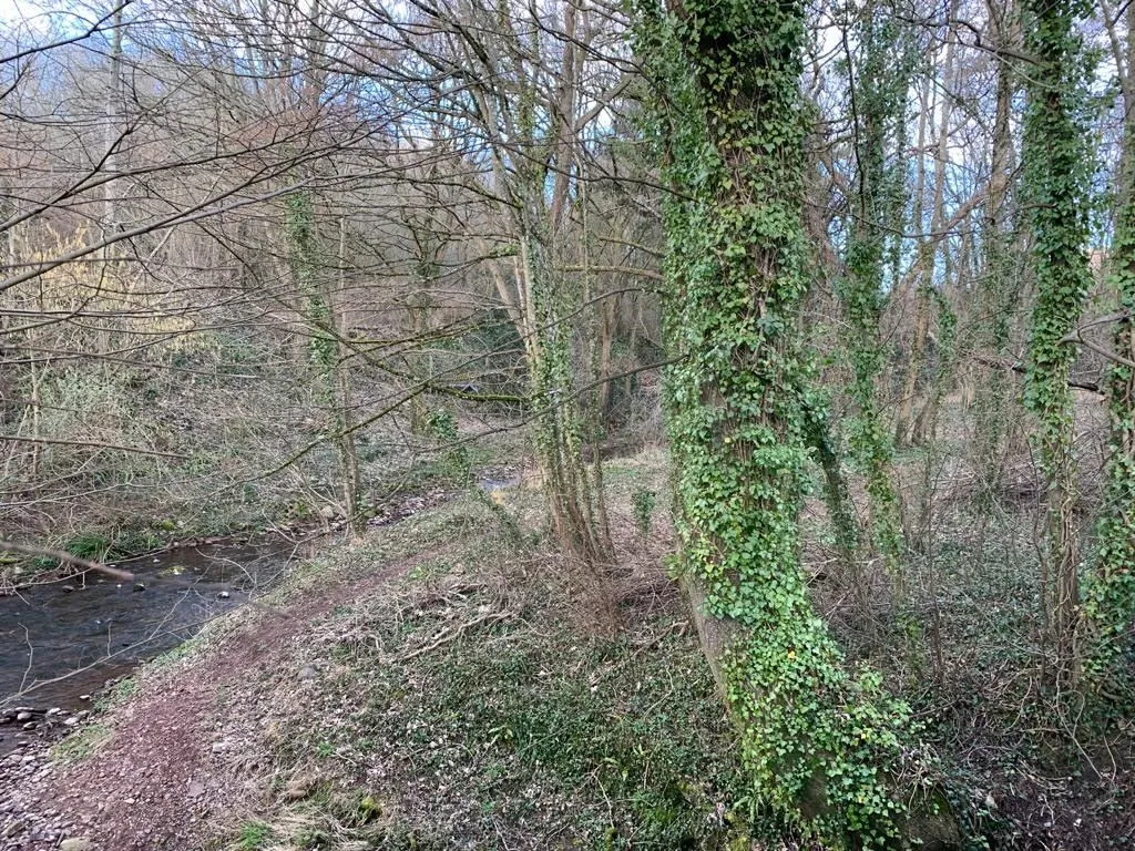 Ross Road, Abergavenny, Gwent, NP7 5LT - Online Auctions
