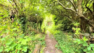 Property for Auction in Bedfordshire and Buckinghamshire - 97 Montrose Avenue, Luton, Bedfordshire LU3 1HP