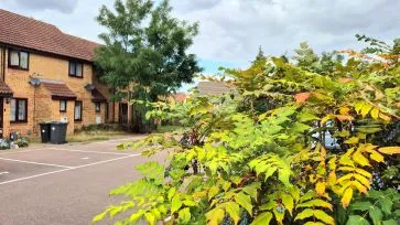 Property for Auction in Bedfordshire and Buckinghamshire - 29 Badgers Close, Flitwick, Bedford, Bedfordshire