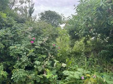 Property for Auction in Cumbria - Greystone Lodge, Greystone Lane, Dalton-In-Furness, Cumbria LA15 8PX