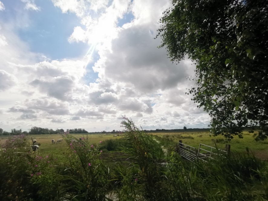 Property for Auction in East Anglia - Bungay Lodge, Waveney Inn and River Centre, Staithe Road, Burgh St. Peter, Suffolk NR34 0DE