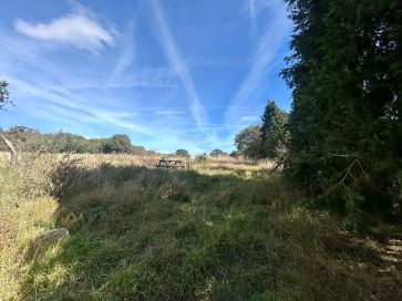 Property for Auction in East Anglia