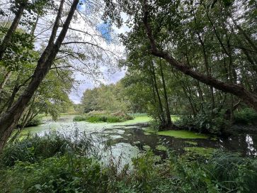 Property for Auction in East Anglia