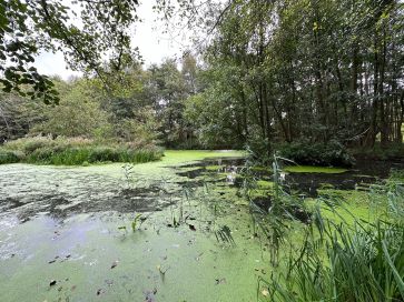 Property for Auction in East Anglia