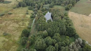 Property for Auction in East Anglia