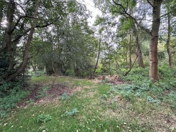Property for Auction in East Anglia