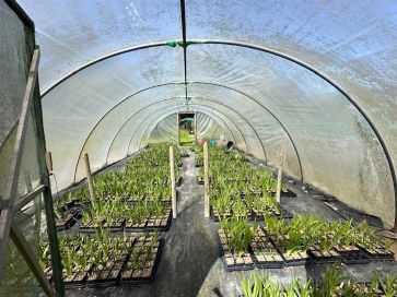 Property for Auction in East Anglia
