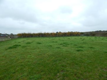 Property for Auction in East Anglia - Land off, East End Lane, Aldeby, Beccles, Suffolk NR34 0BF
