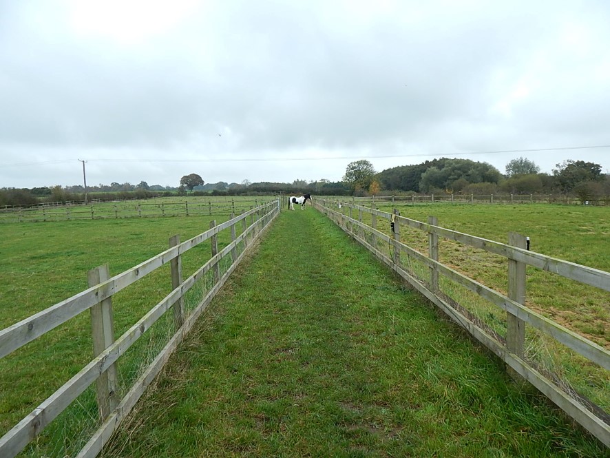 Property for Auction in East Anglia - Land off, East End Lane, Aldeby, Beccles, Suffolk NR34 0BF