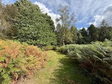 Property for Auction in East Anglia - Stonebeck, 2 Cromer Road, Hainford, Norwich, Norfolk NR10 3AT