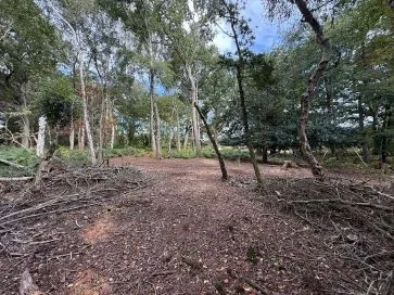 Property for Auction in East Anglia - Stonebeck, 2 Cromer Road, Hainford, Norwich, Norfolk NR10 3AT