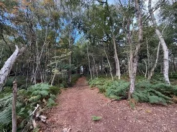 Property for Auction in East Anglia - Stonebeck, 2 Cromer Road, Hainford, Norwich, Norfolk NR10 3AT