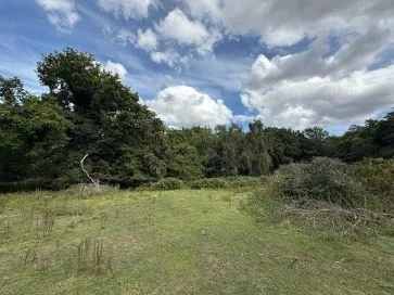 Property for Auction in East Anglia - Stonebeck, 2 Cromer Road, Hainford, Norwich, Norfolk NR10 3AT