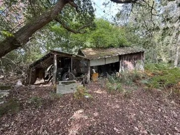 Property for Auction in East Anglia - Stonebeck, 2 Cromer Road, Hainford, Norwich, Norfolk NR10 3AT