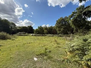 Property for Auction in East Anglia - Stonebeck, 2 Cromer Road, Hainford, Norwich, Norfolk NR10 3AT