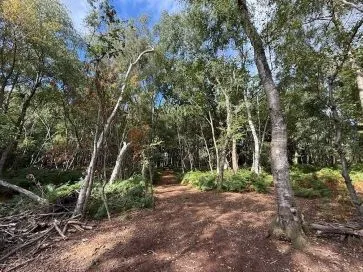 Property for Auction in East Anglia - Stonebeck, 2 Cromer Road, Hainford, Norwich, Norfolk NR10 3AT