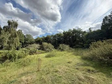 Property for Auction in East Anglia - Stonebeck, 2 Cromer Road, Hainford, Norwich, Norfolk NR10 3AT