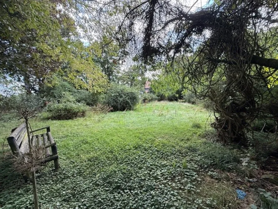 Property for Auction in East Anglia - Woodmans Lodge and Annexe, 38 The Street, Ashwellthorpe, Norfolk NR16 1HD