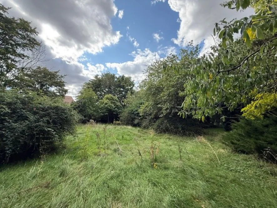 Property for Auction in East Anglia - Woodmans Lodge and Annexe, 38 The Street, Ashwellthorpe, Norfolk NR16 1HD