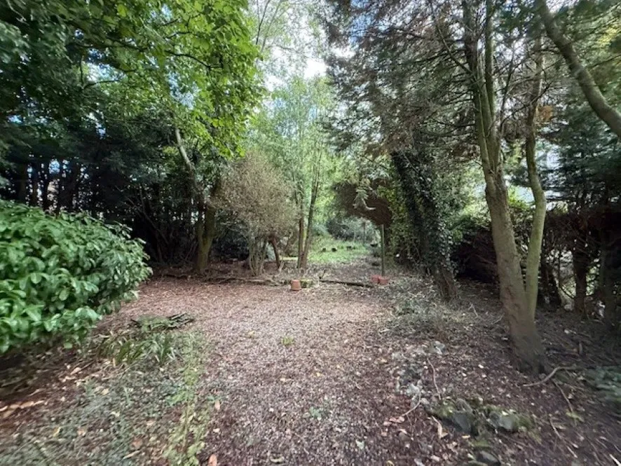 Property for Auction in East Anglia - Woodmans Lodge and Annexe, 38 The Street, Ashwellthorpe, Norfolk NR16 1HD