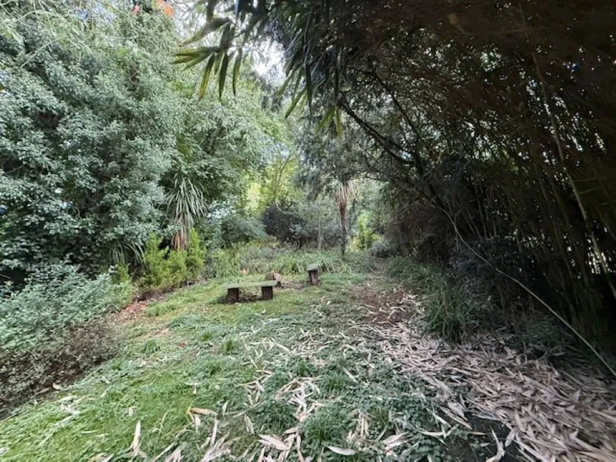 Property for Auction in East Anglia - Woodmans Lodge and Annexe, 38 The Street, Ashwellthorpe, Norfolk NR16 1HD