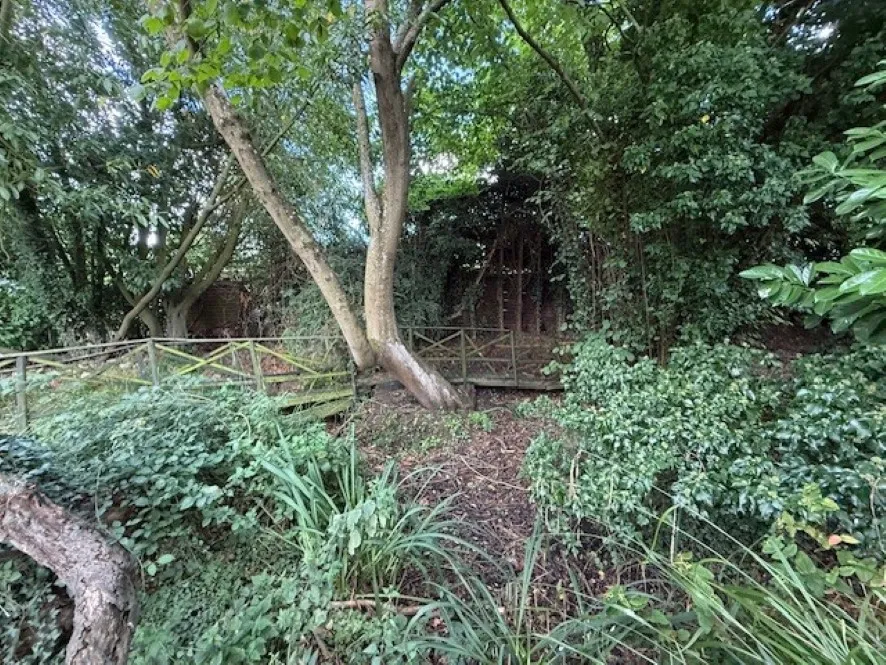 Property for Auction in East Anglia - Woodmans Lodge and Annexe, 38 The Street, Ashwellthorpe, Norfolk NR16 1HD