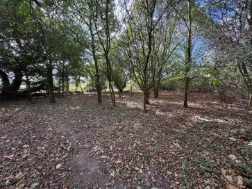 Property for Auction in East Anglia - 43 The Green, Upton, Norwich, Norfolk NR13 6AY