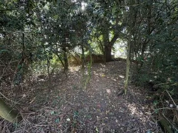 Property for Auction in East Anglia - 43 The Green, Upton, Norwich, Norfolk NR13 6AY