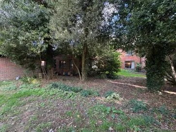 Property for Auction in East Anglia - 43 The Green, Upton, Norwich, Norfolk NR13 6AY