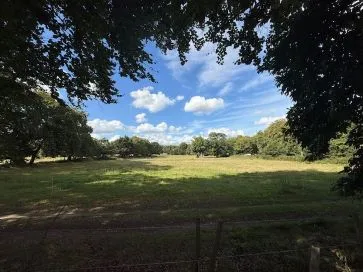 Property for Auction in East Anglia - Land adjacent to, Cherrybee Farm, 49 Cromer Road, Hainford, Norfolk NR10 3AT