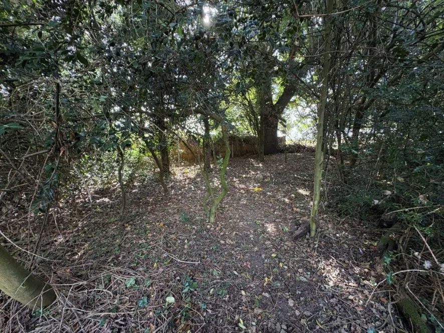 Property for Auction in East Anglia - 43 The Green, Upton, Norwich, Norfolk NR13 6AY