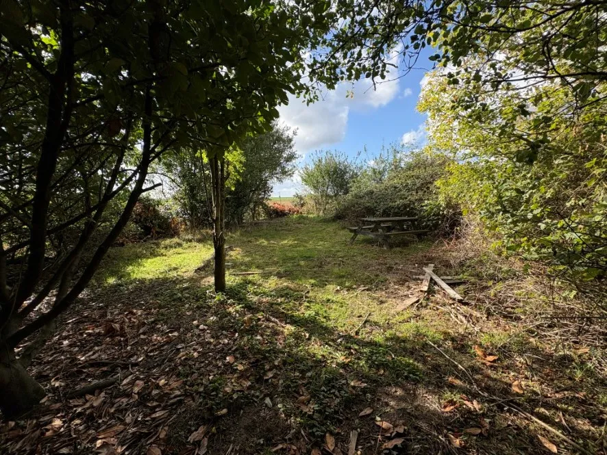 Property for Auction in East Anglia - 43 The Green, Upton, Norwich, Norfolk NR13 6AY