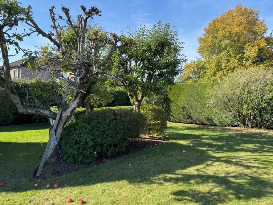 Property for Auction in East Anglia - 12 Sandy Lane, South Wootton, King&apos;s Lynn, Norfolk PE30 3NX