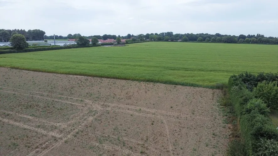 Property for Auction in East Anglia - Land off, Woodbastwick Road, Blofield, Norwich, Norfolk NR13 4RR