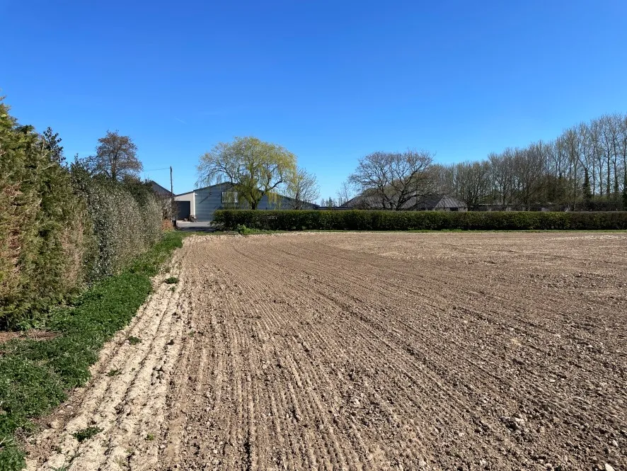 Property for Auction in East Anglia - Land off, Woodbastwick Road, Blofield, Norwich, Norfolk NR13 4RR