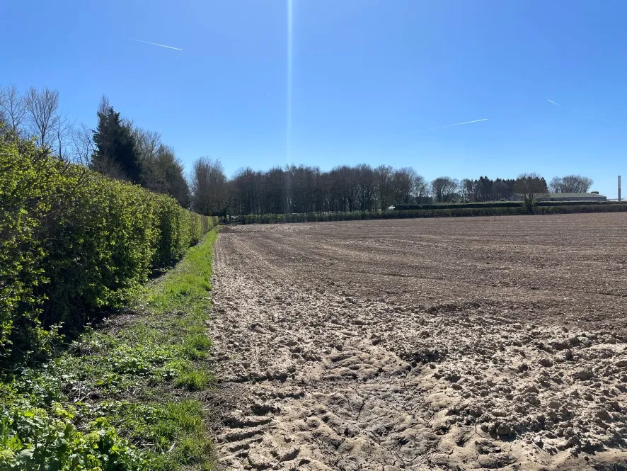 Property for Auction in East Anglia - Land off, Woodbastwick Road, Blofield, Norwich, Norfolk NR13 4RR