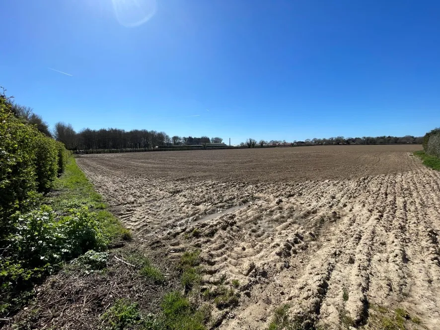 Property for Auction in East Anglia - Land off, Woodbastwick Road, Blofield, Norwich, Norfolk NR13 4RR