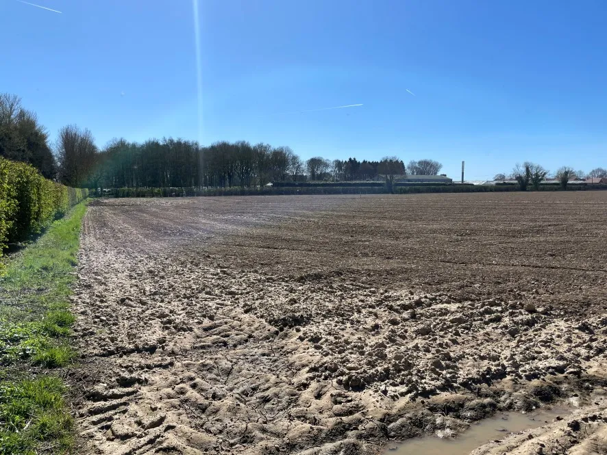 Property for Auction in East Anglia - Land off, Woodbastwick Road, Blofield, Norwich, Norfolk NR13 4RR