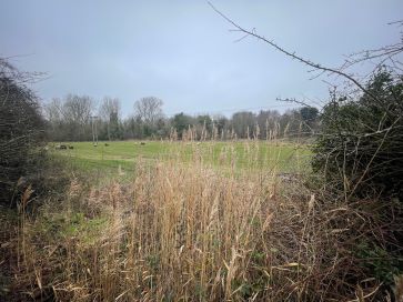 Property for Auction in East Anglia - 36 Beck Way, Loddon, Norwich, Norfolk NR14 6UZ