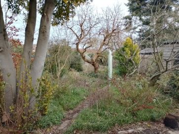 Property for Auction in East Anglia - 35 Beccles Road, Thurlton, Norwich, Norfolk NR14 6RE