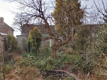 Property for Auction in East Anglia - 35 Beccles Road, Thurlton, Norwich, Norfolk NR14 6RE