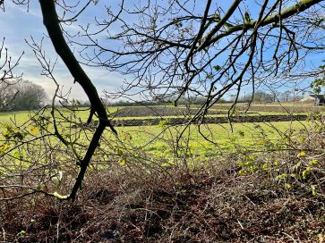 Property for Auction in East Anglia - The Oaks, Cranley Road, Redlingfield, Eye, Suffolk IP23 7NZ