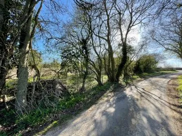 Property for Auction in East Anglia - Land on the east side of Red Lane, Capel St. Mary, Ipswich, Suffolk IP9 2JR