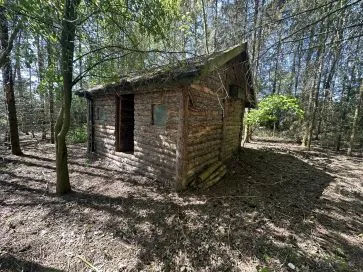 Property for Auction in East Anglia - Model House, Wash Lane, Aslacton, Norwich, Norfolk NR15 2JR