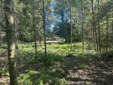 Property for Auction in East Anglia - Model House, Wash Lane, Aslacton, Norwich, Norfolk NR15 2JR