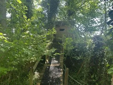 Property for Auction in East Anglia - Model House, Wash Lane, Aslacton, Norwich, Norfolk NR15 2JR