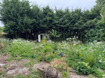 Property for Auction in East Anglia - 2 The Chase, River Road, West Walton, Wisbech, Cambridgeshire PE14 7EX