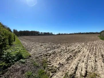 Property for Auction in East Anglia - Land off, Woodbastwick Road, Blofield, Norwich, Norfolk NR13 4RR