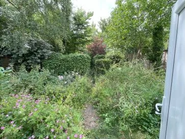 Property for Auction in East Anglia - Homestead, School Lane, Rumburgh, Halesworth, Suffolk IP19 0NR