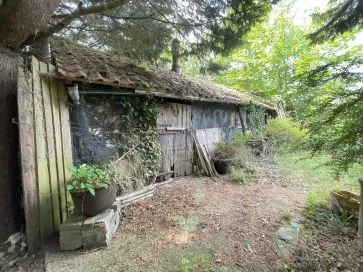 Property for Auction in East Anglia - Homestead, School Lane, Rumburgh, Halesworth, Suffolk IP19 0NR